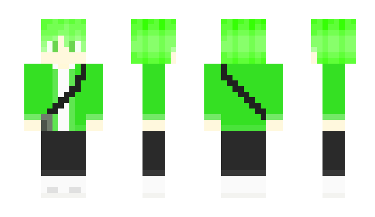 turtle_pwp Minecraft Skin