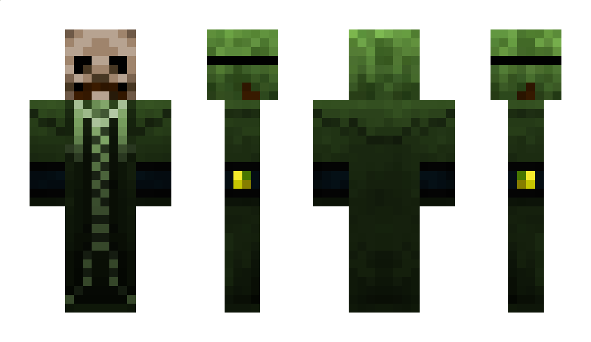 Cata Minecraft Skin