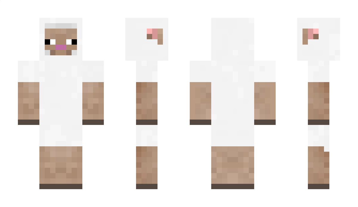 Rode Minecraft Skin