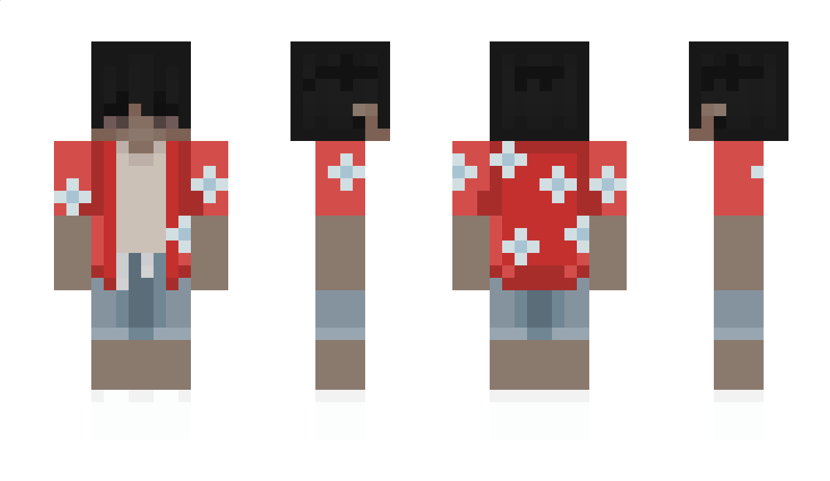 MixelatorPL Minecraft Skin