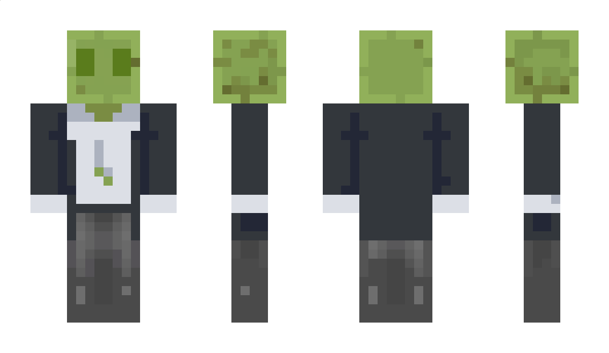 pangpang8 Minecraft Skin