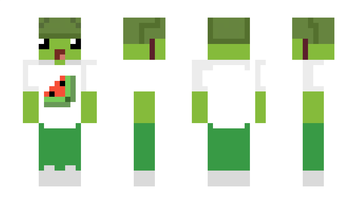 TurtlesRbeast Minecraft Skin