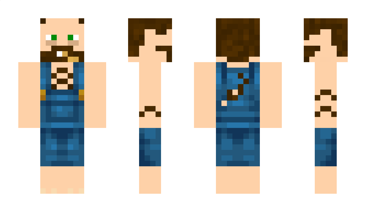 mikethelink Minecraft Skin — SkinMC