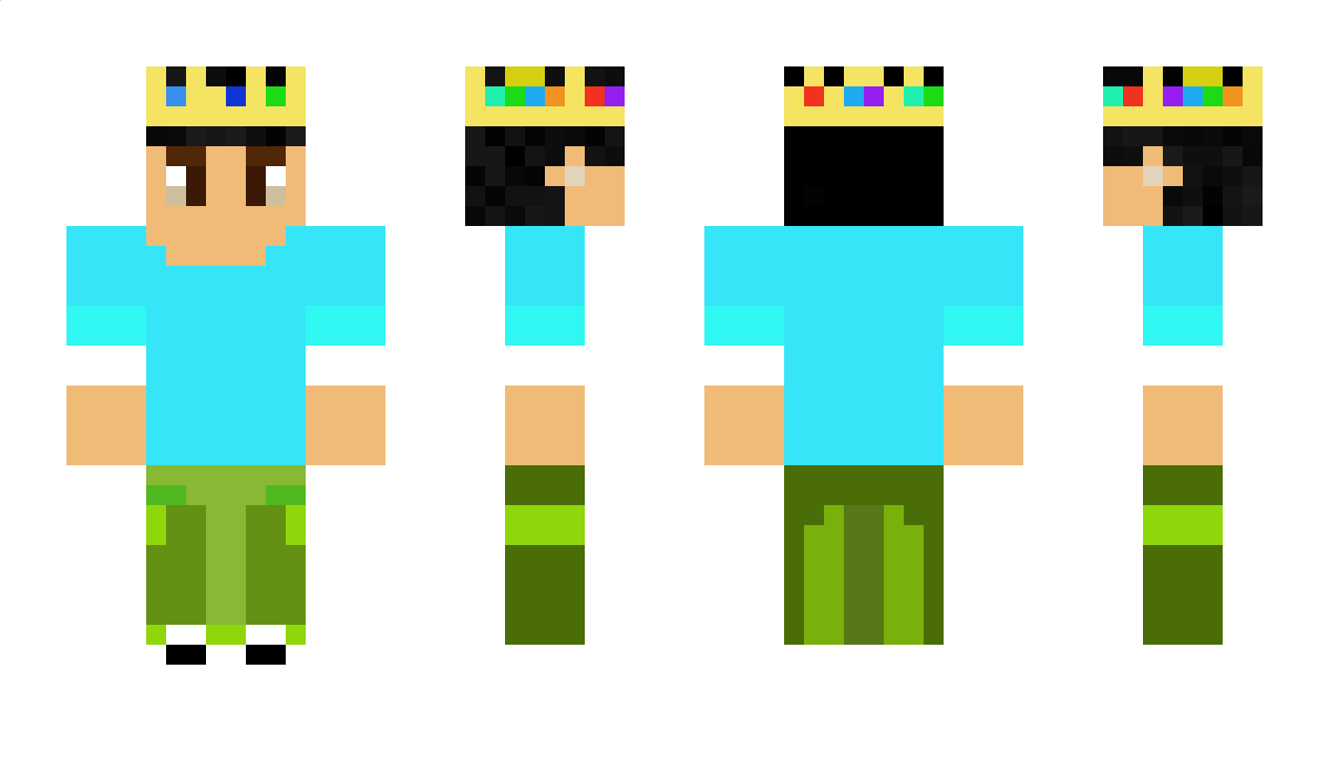 Ricool Minecraft Skin