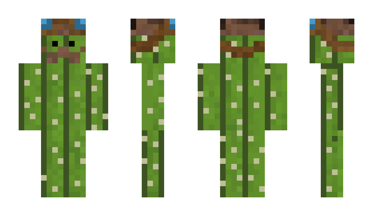 Canktus Minecraft Skin