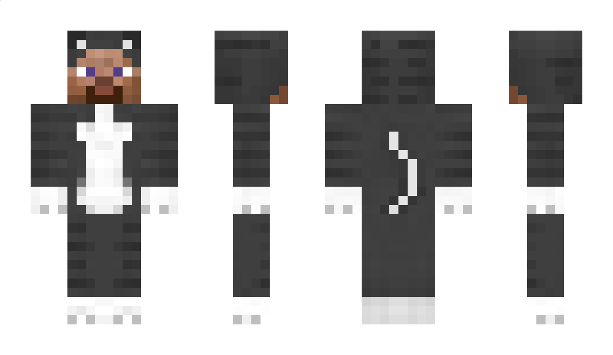 BIushy Minecraft Skin