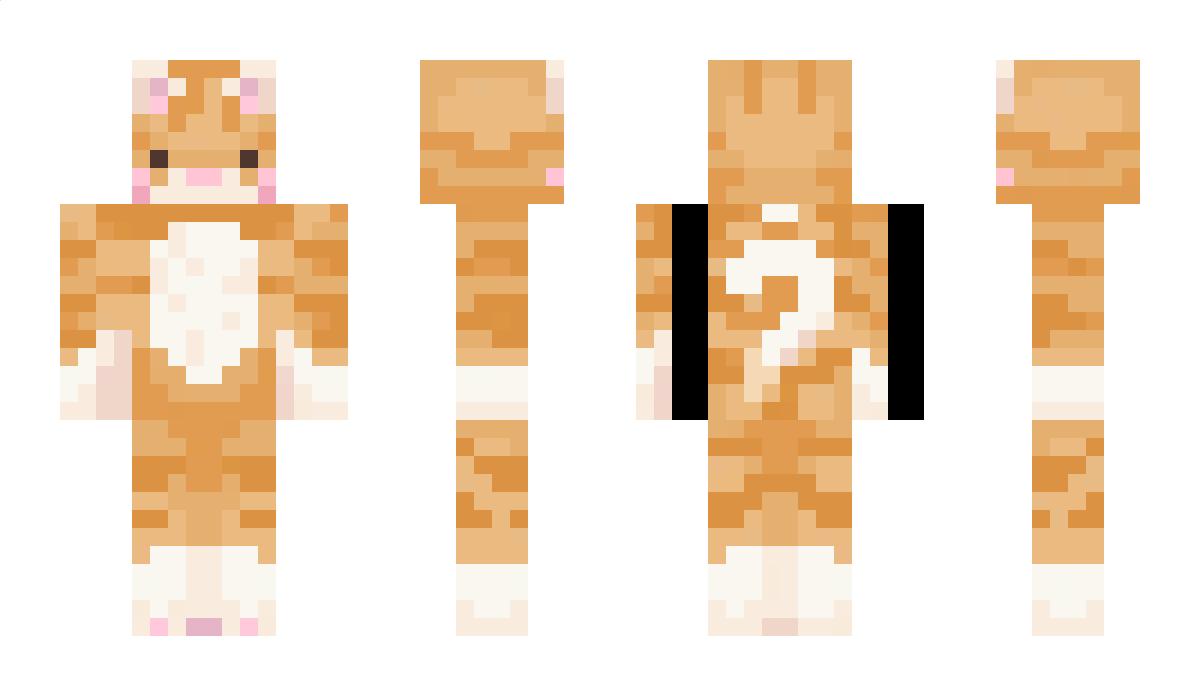 Mikakikoku Minecraft Skin