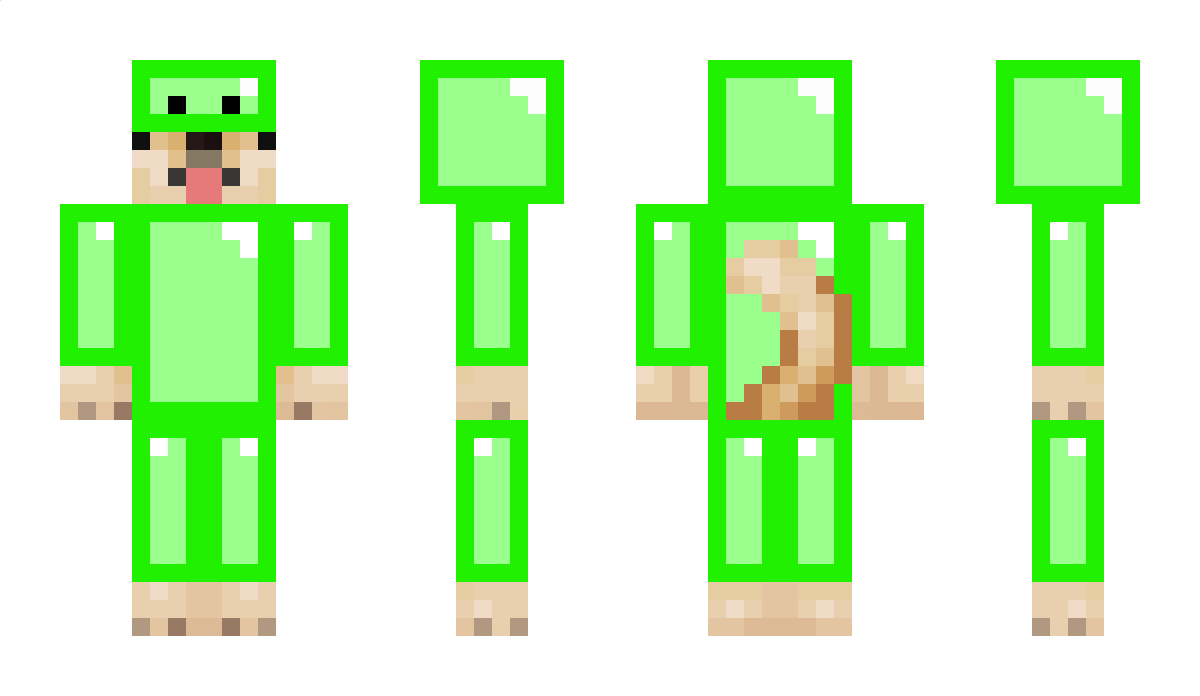 nidjn Minecraft Skin