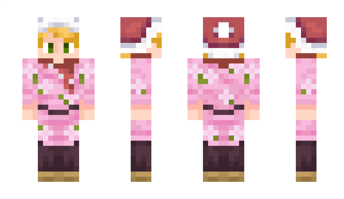 SirDoor Minecraft Skin