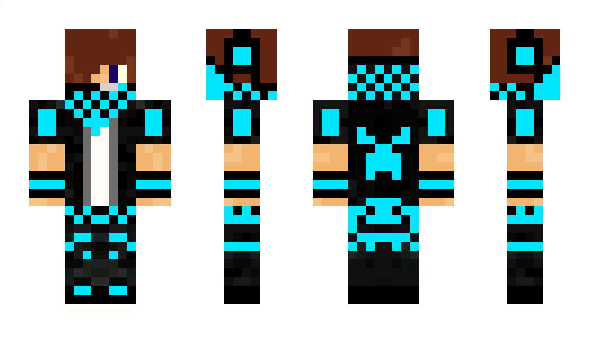 Domis Minecraft Skin