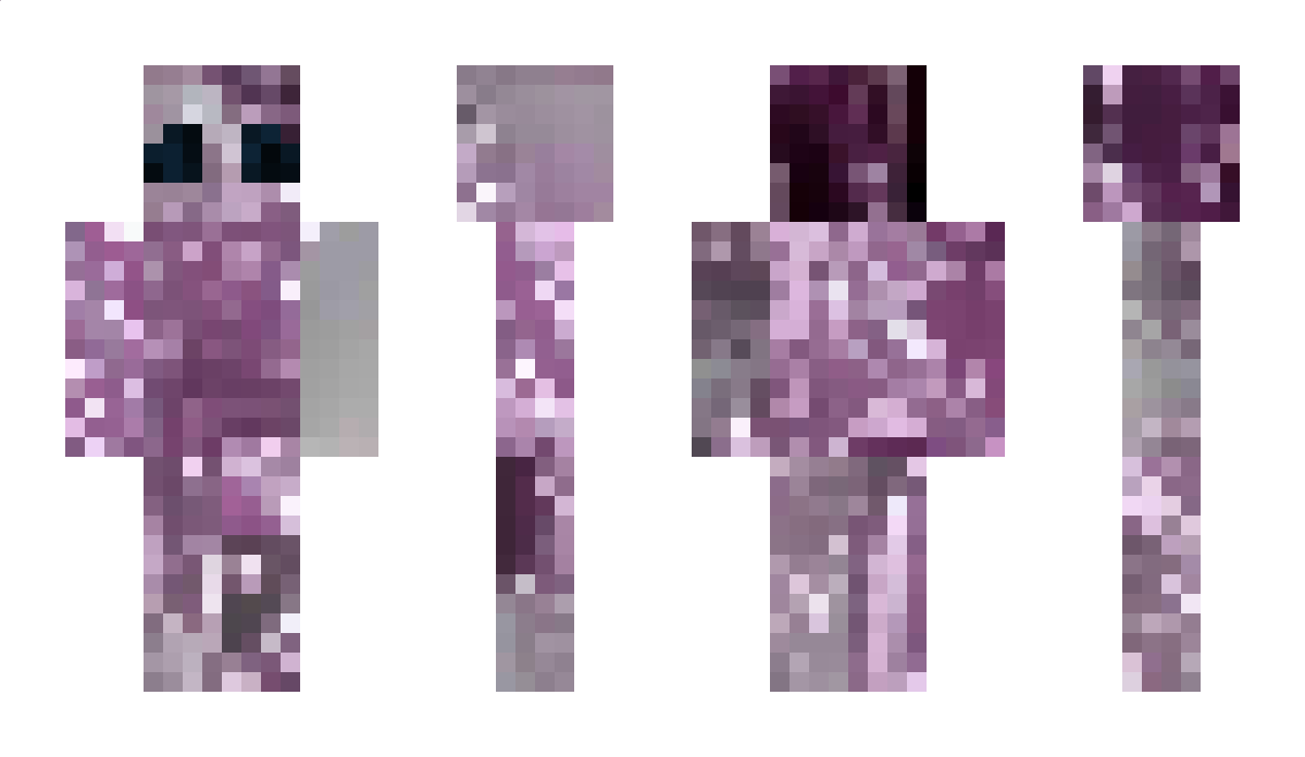 xXbee2toastXx Minecraft Skin