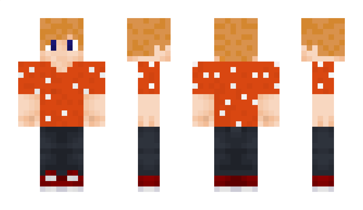 catsdgs Minecraft Skin