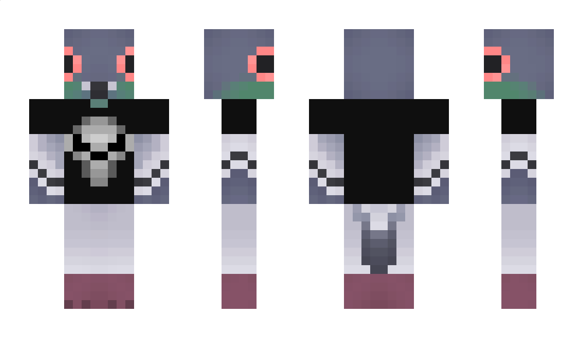 Doc_toraaa Minecraft Skin