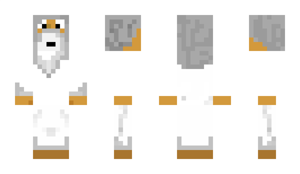 crash Minecraft Skin