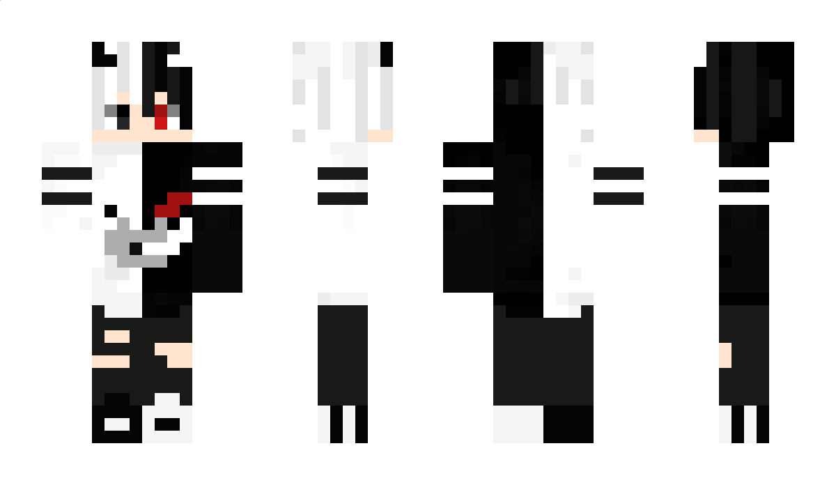 PandaX00 Minecraft Skin