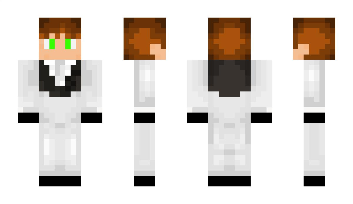 F4n14sy Minecraft Skin