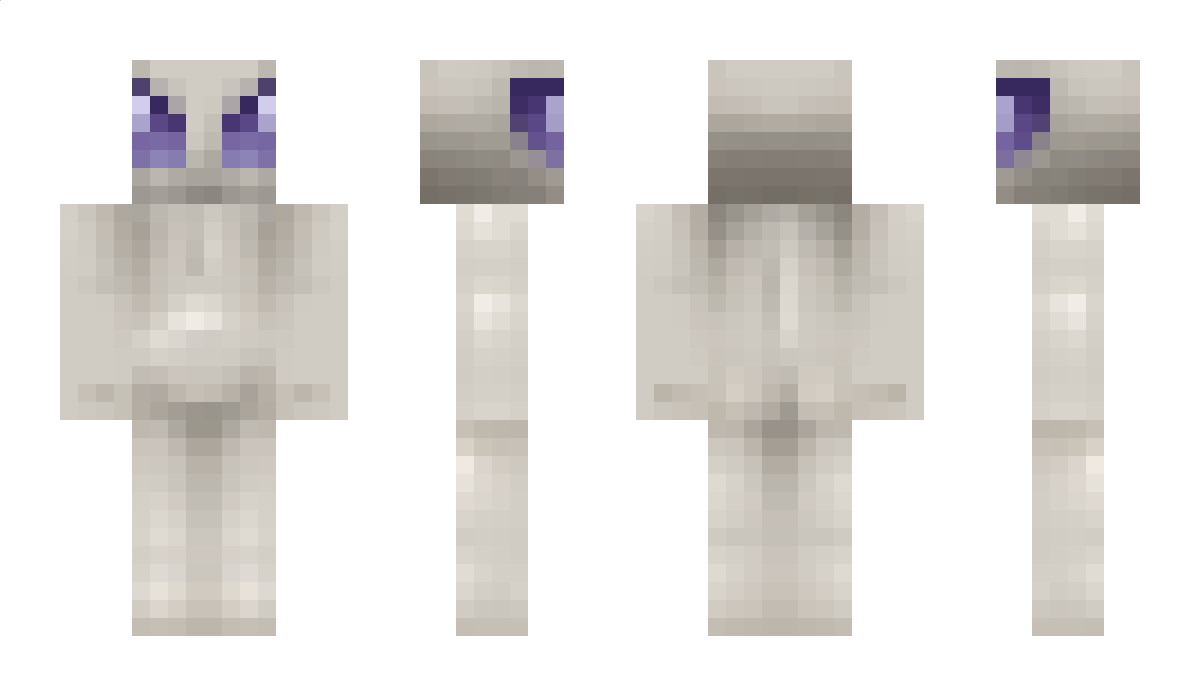 Dziewczynka Minecraft Skin