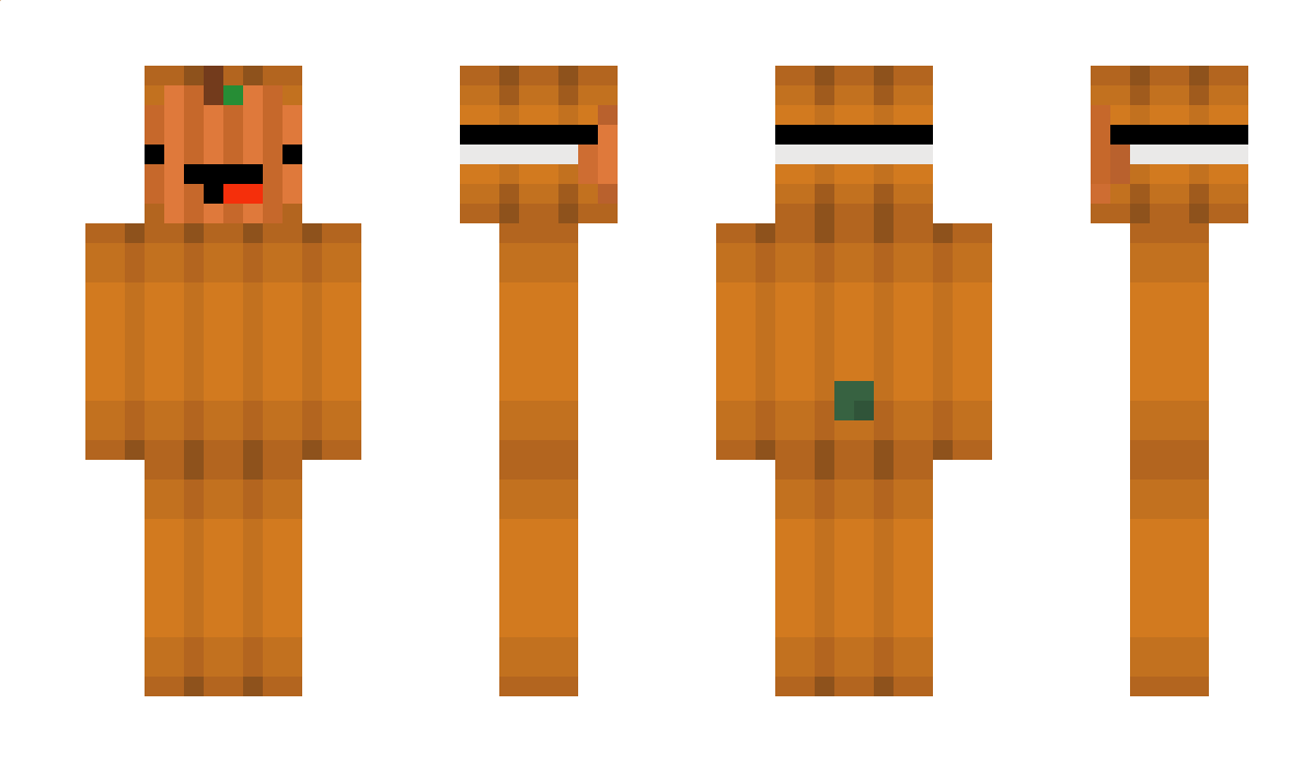 TXduckyTX Minecraft Skin