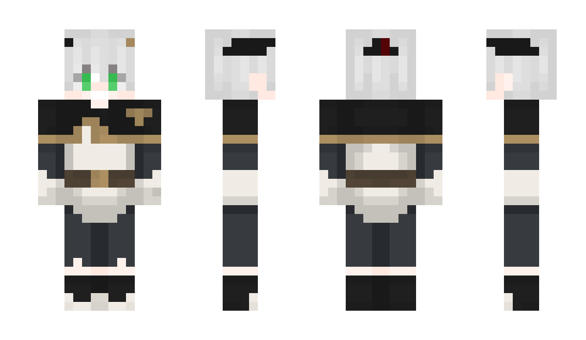 Dandori Minecraft Skin