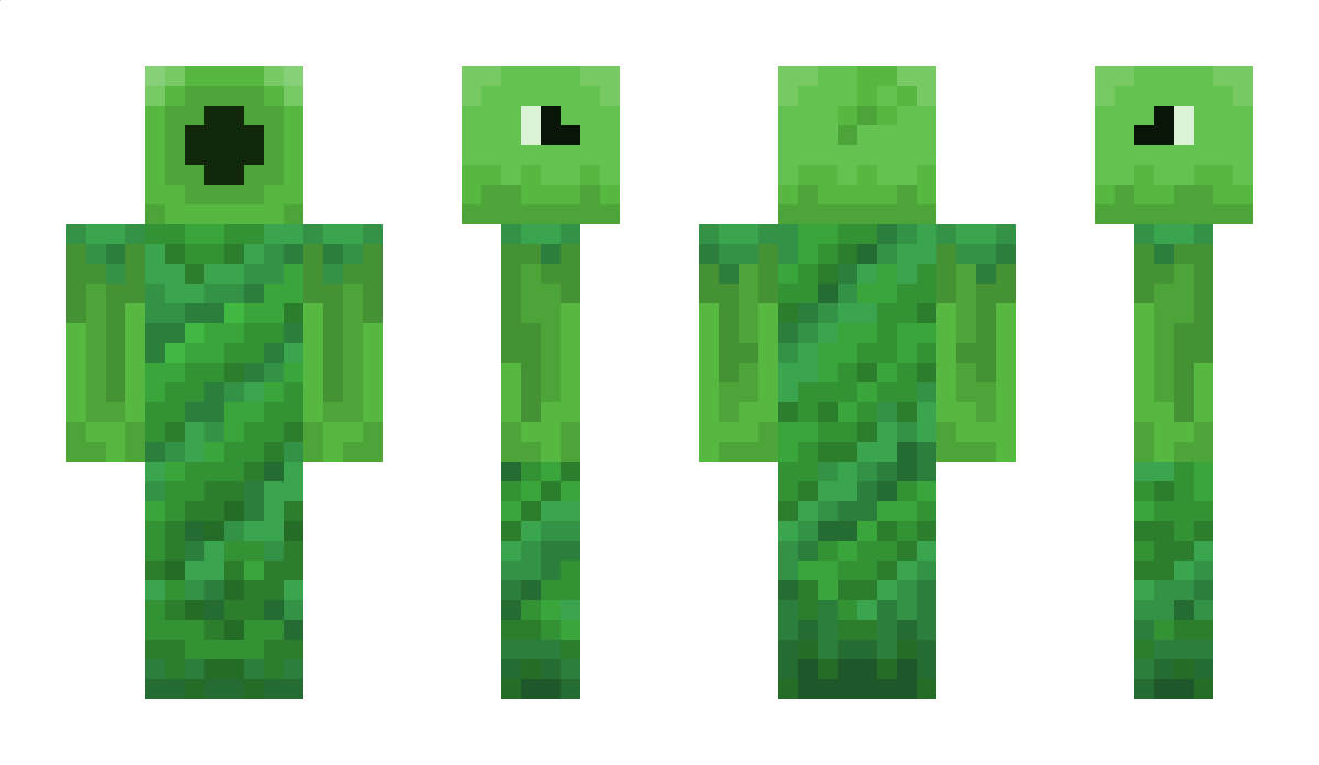 PVZ Minecraft Skin