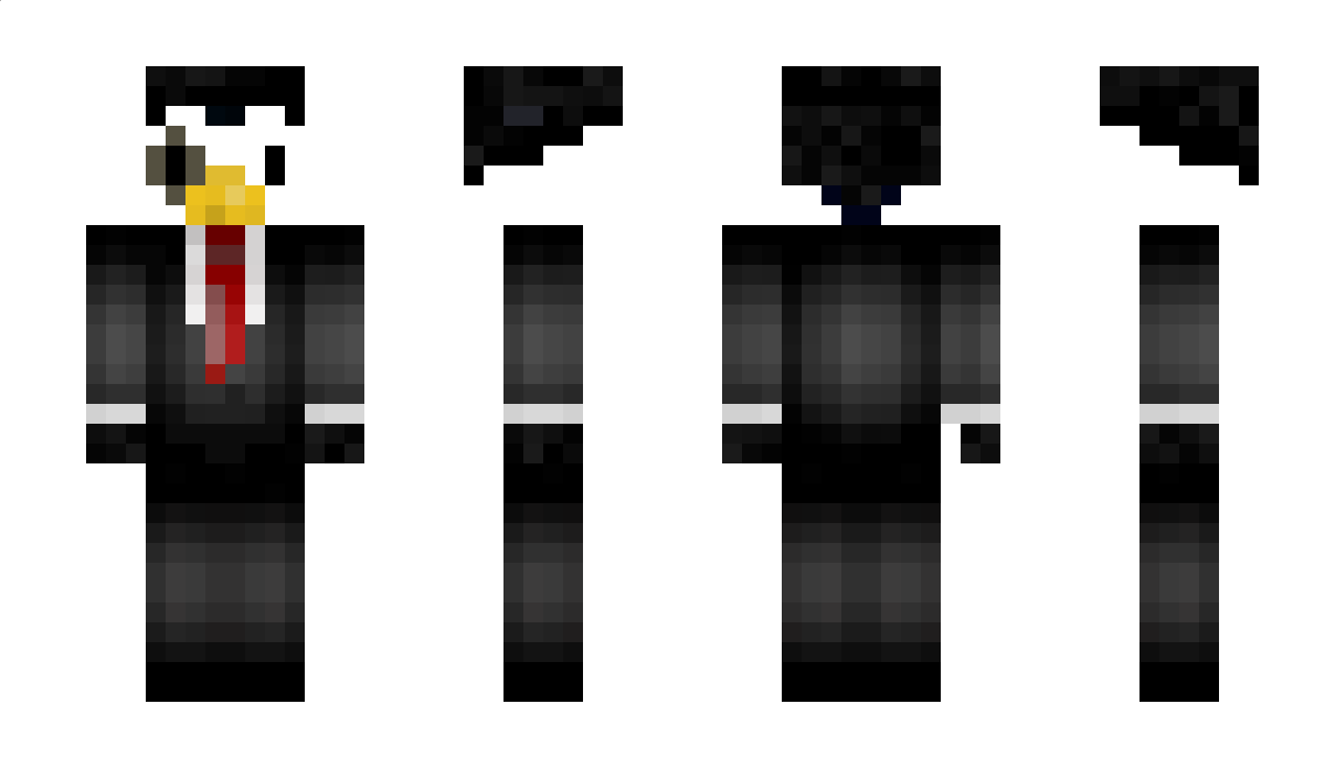 PenguinGooseB Minecraft Skin