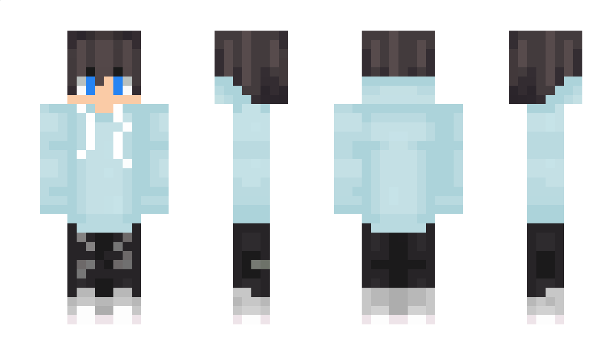 TotoVolant Minecraft Skin