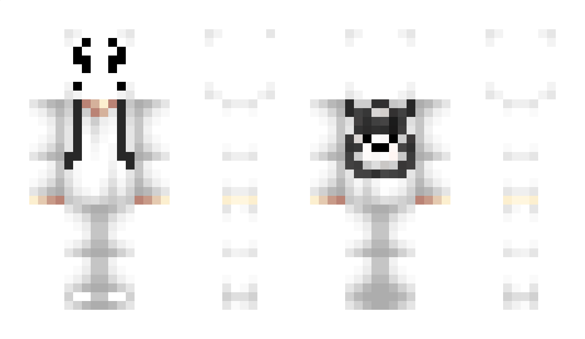 AssasinCreed Minecraft Skin