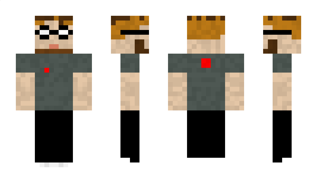 polyarmid Minecraft Skin