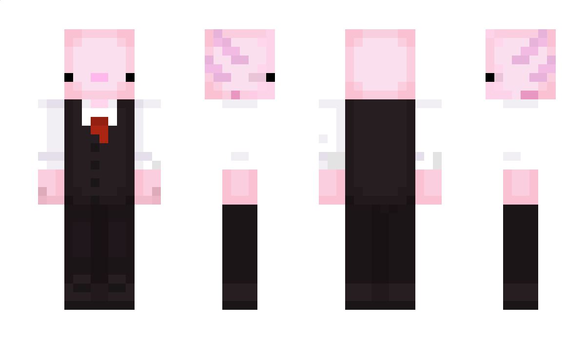 Babybausa Minecraft Skin