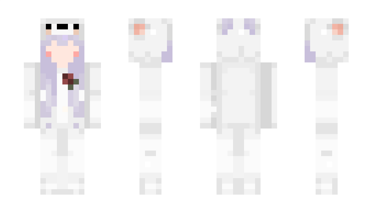 hgr Minecraft Skin