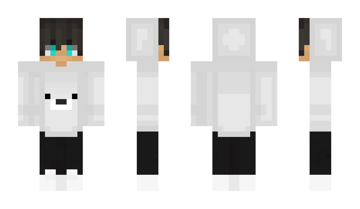 DGF Minecraft Skin