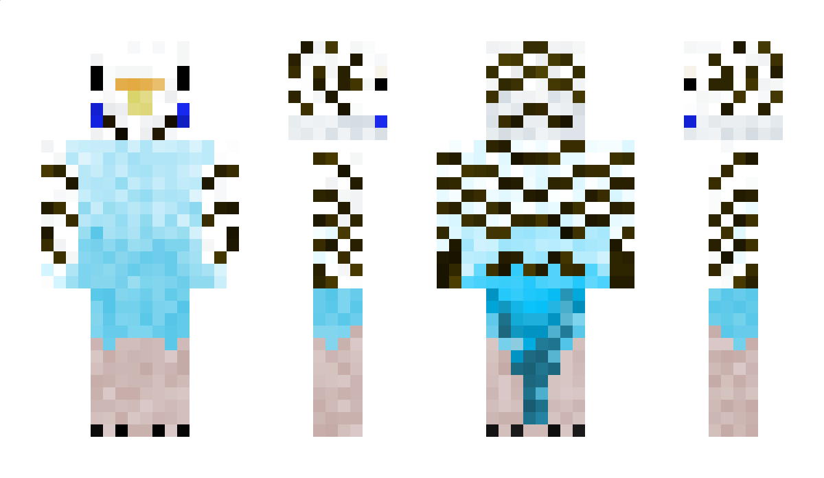 MegabotZ Minecraft Skin