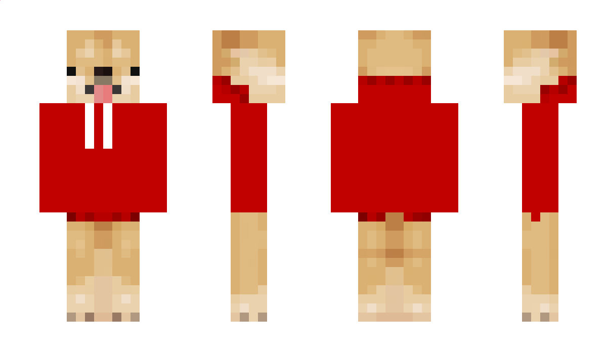 Slooothy Minecraft Skin