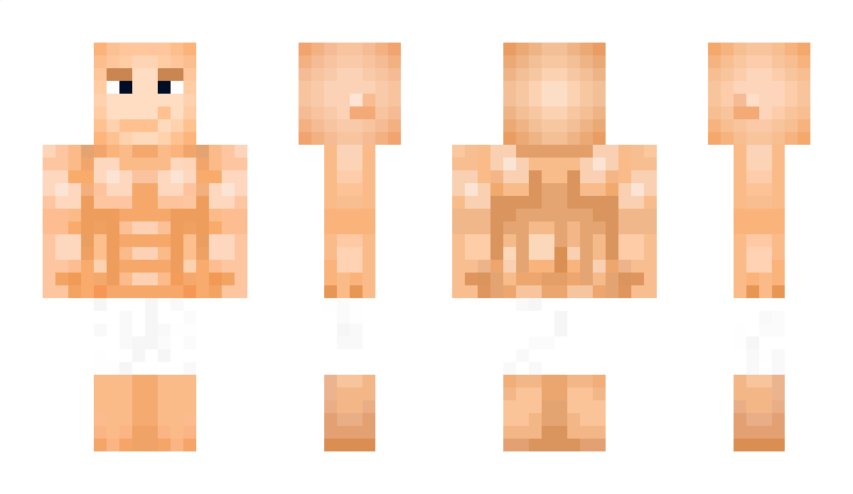 bramcrafter Minecraft Skin