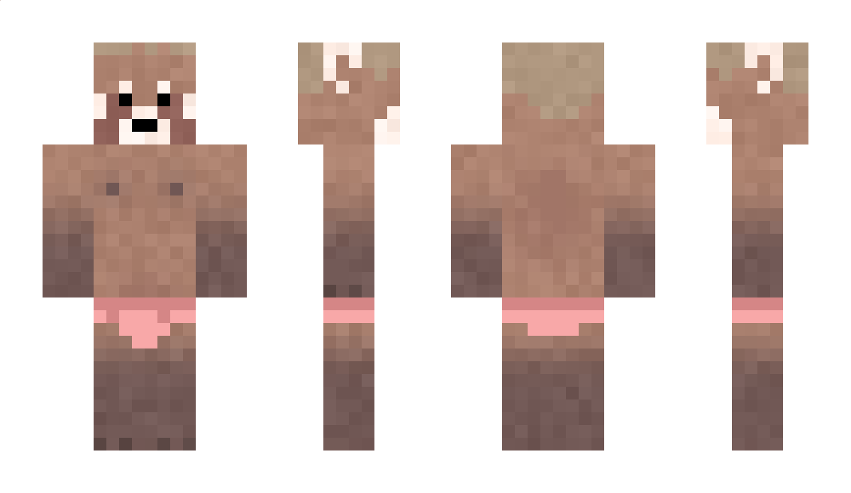 MineDoo Minecraft Skin