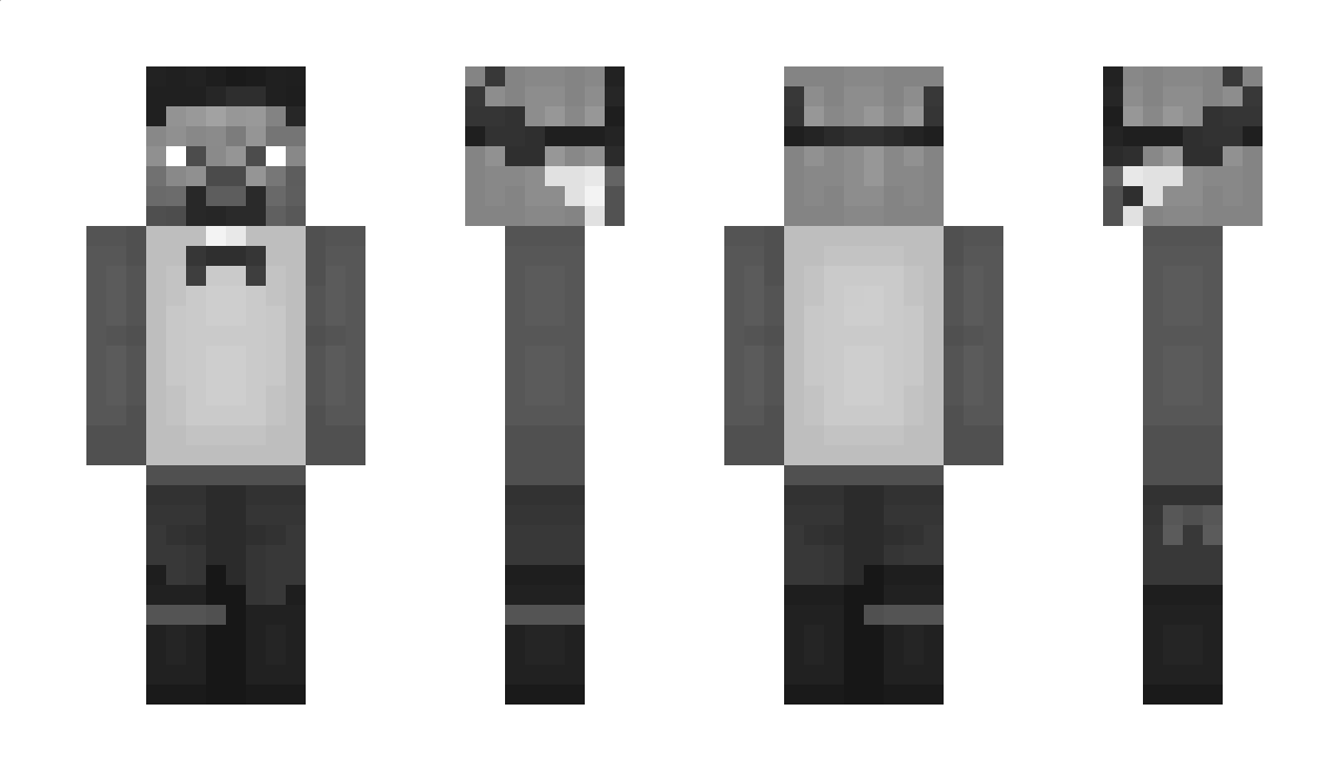 _Xandu_ Minecraft Skin