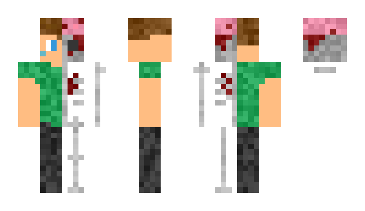 PRO3139120 Minecraft Skin