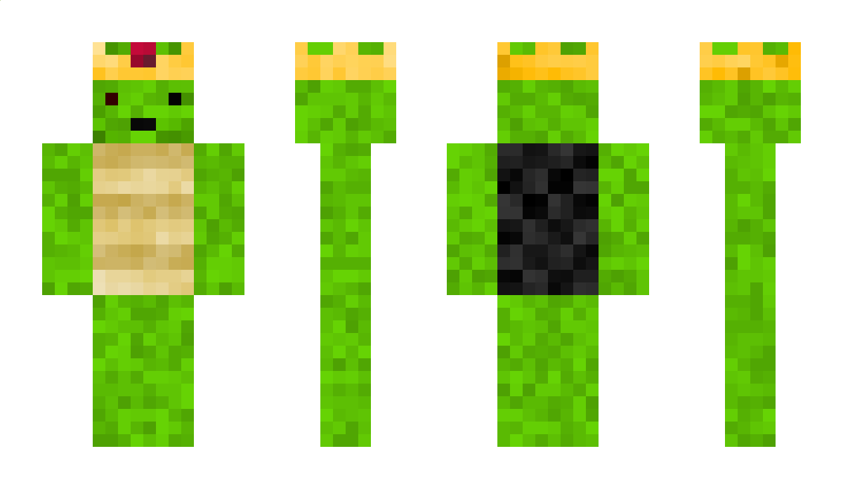 TurtleLord50 Minecraft Skin