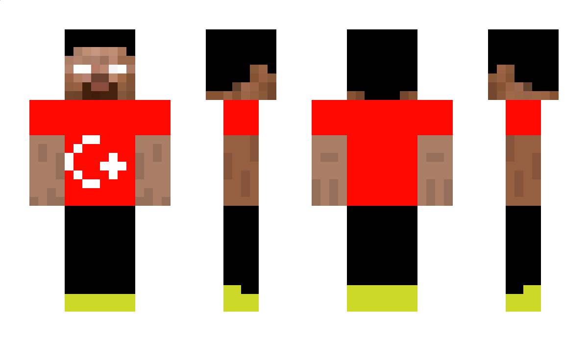 EvYerlestirici Minecraft Skin