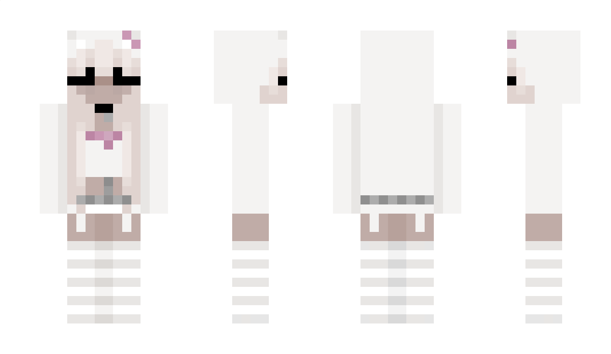 How2Hippo Minecraft Skin