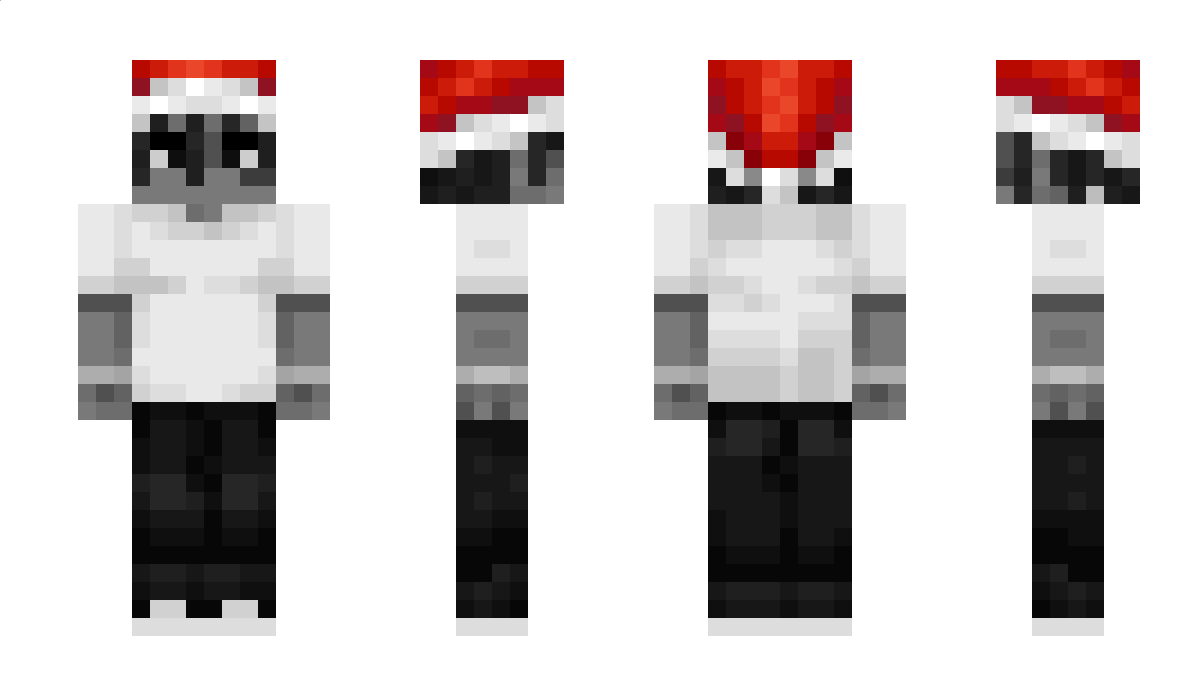 przechociak_96 Minecraft Skin