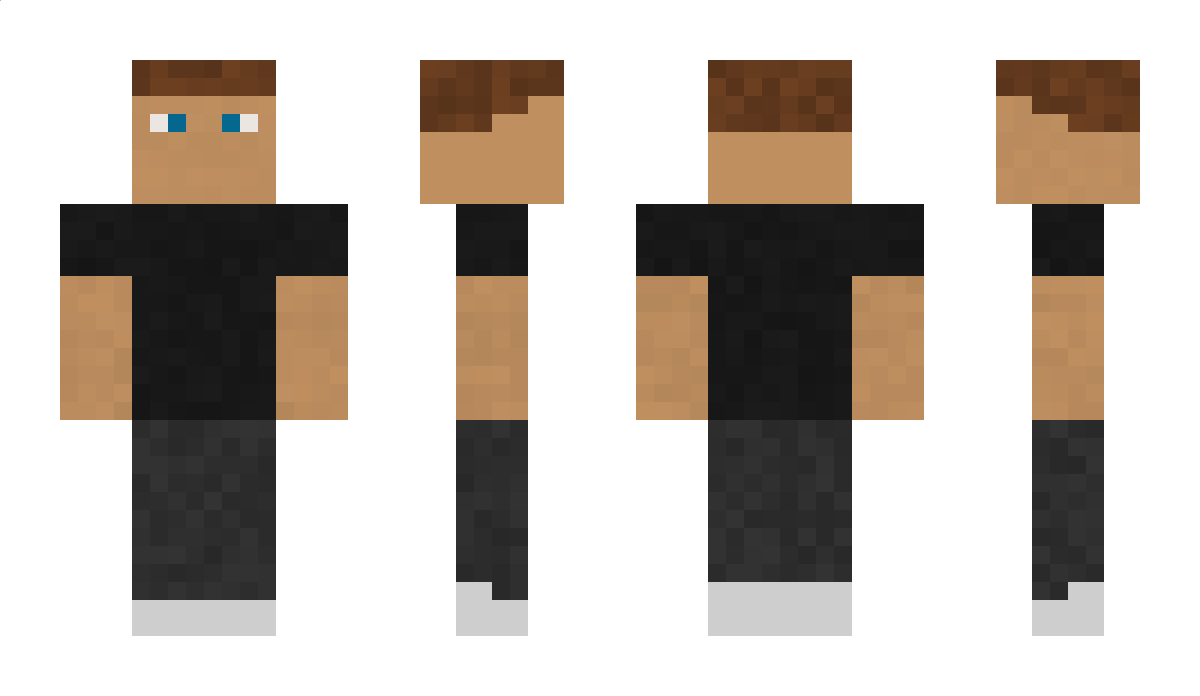 swedenisking Minecraft Skin