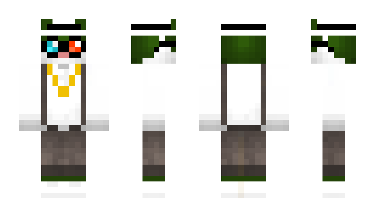 Requ Minecraft Skin