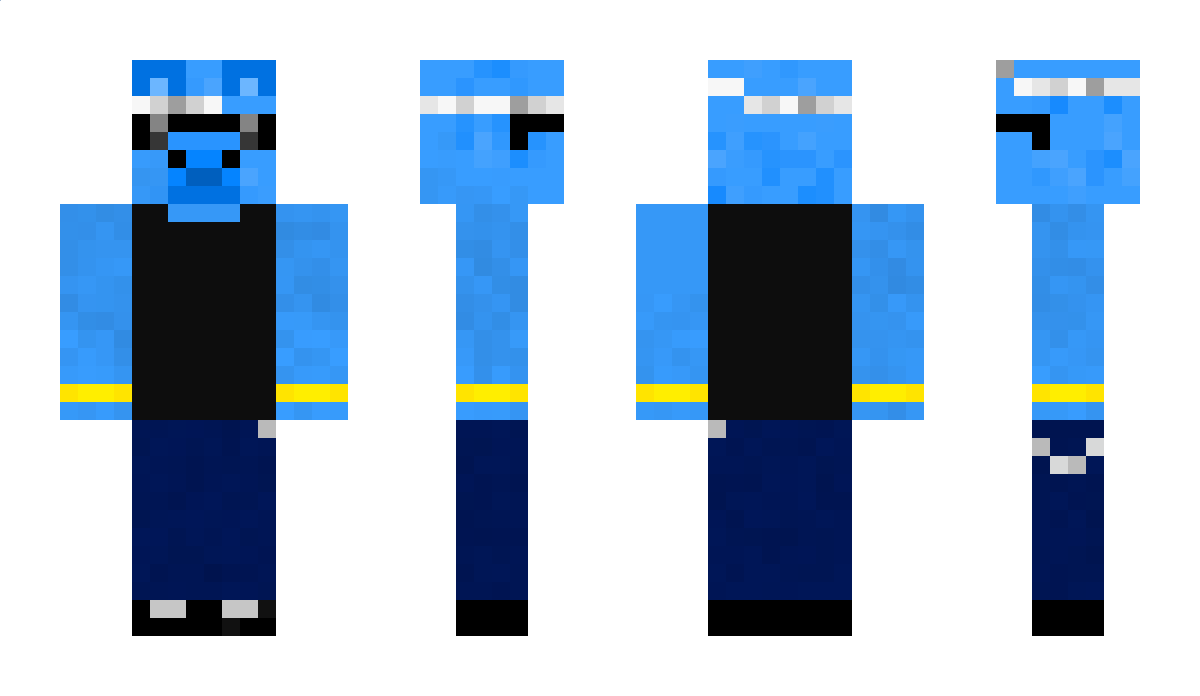 Pinshllama_811 Minecraft Skin