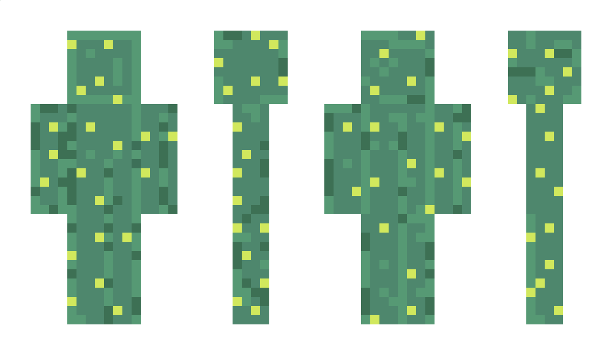 castlesandcacti Minecraft Skin