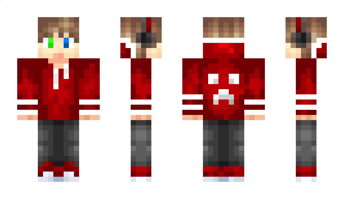 AR4582 Minecraft Skin