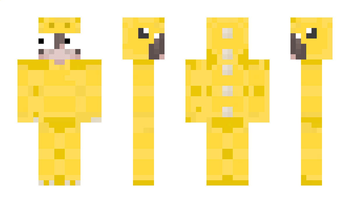 Vexthz Minecraft Skin