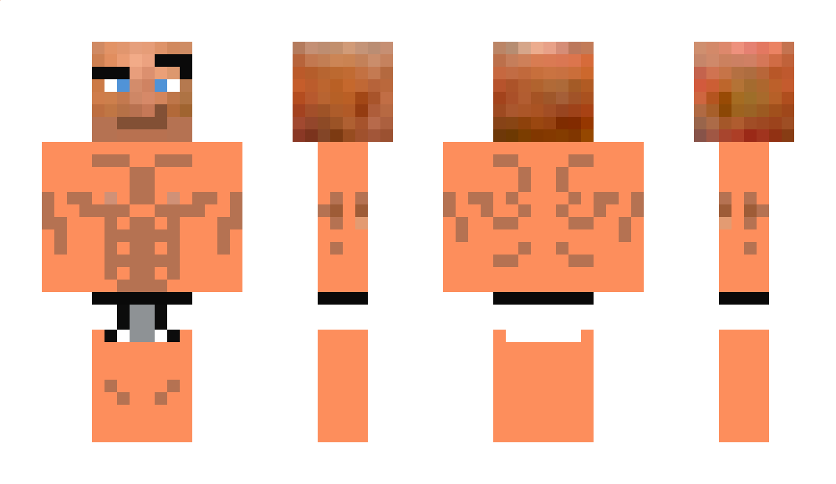 toplad Minecraft Skin