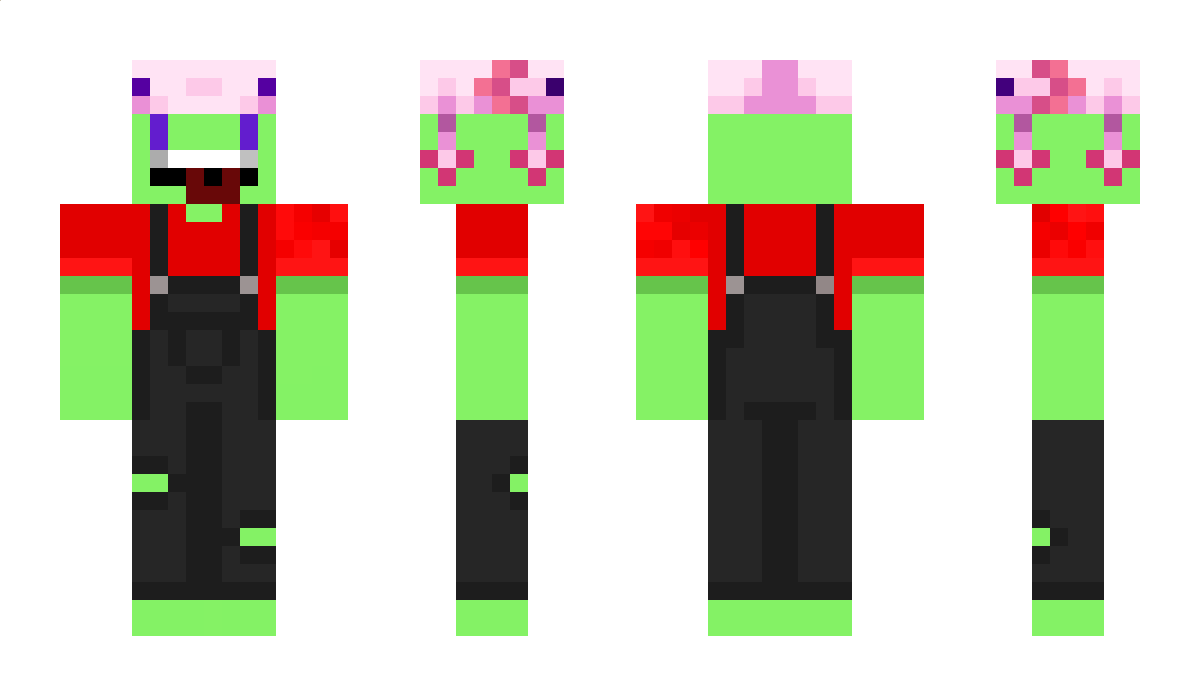 dpqb_dpqb Minecraft Skin