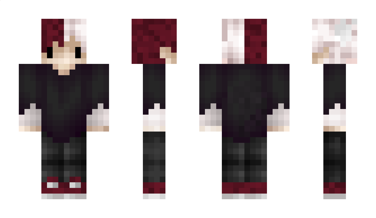 Vides Minecraft Skin